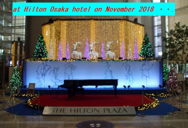 2018ǯ1129 HILTON HOTEL ġ