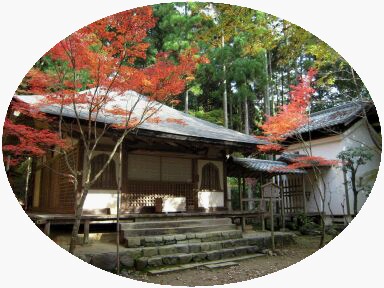 京都 栂尾 高山寺