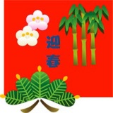 illustration of 松竹梅（迎春）