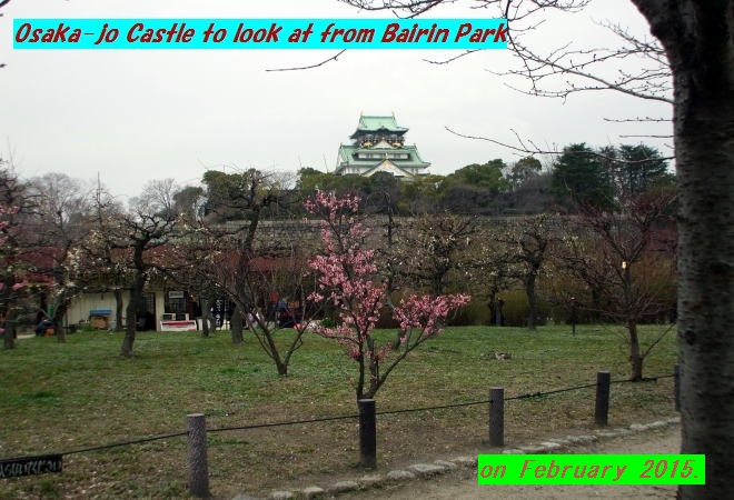 At �������Ӹ��� of ���city on February 23rd 2015.